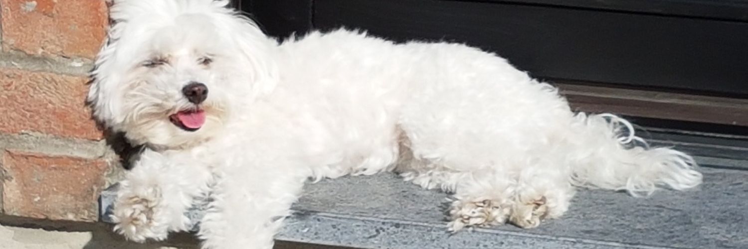 raybroiz's profile banner image