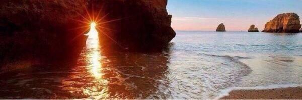 محمد محماس المطيري banner