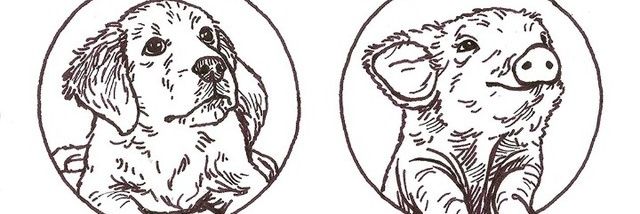 The_GreenBoat's profile banner image