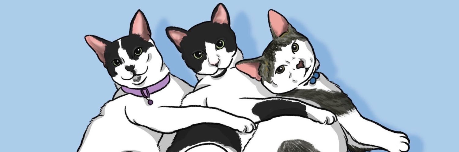 cheesiatrix's profile banner image