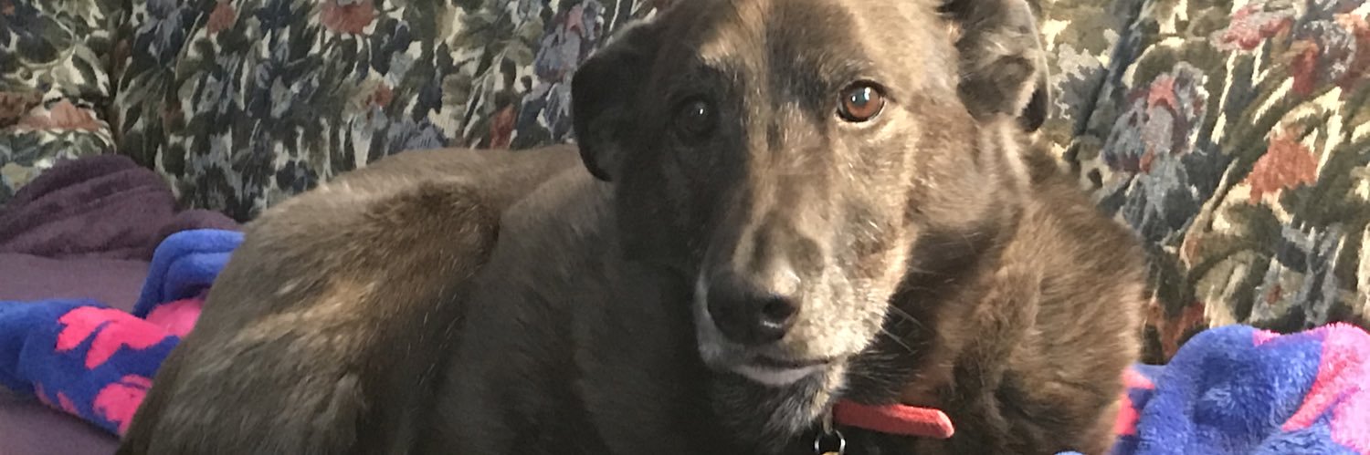 AmandaTso2's profile banner image