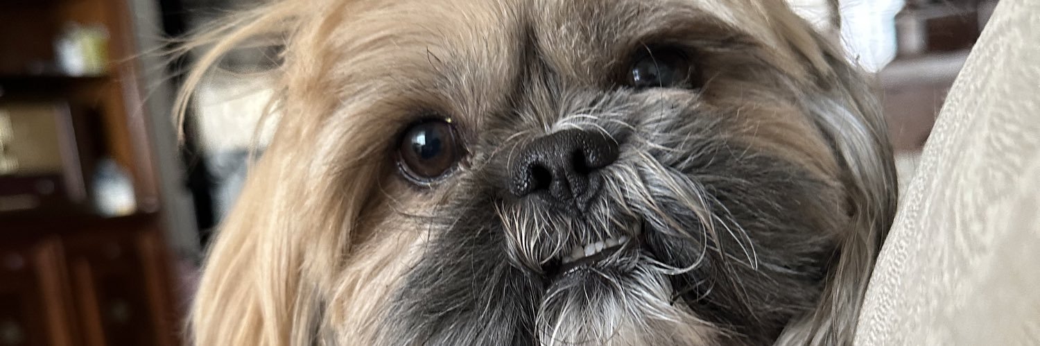 lexbravo_'s profile banner image