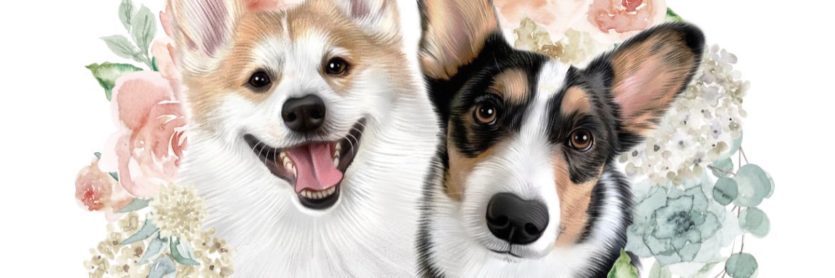 BryceBBaby's profile banner image