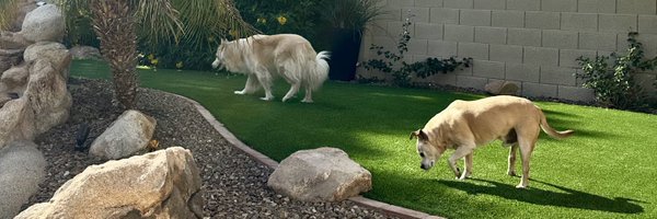 CGTCFA Profile Banner