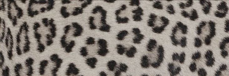 jia banner