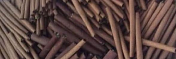 Jimmy5500's profile banner image