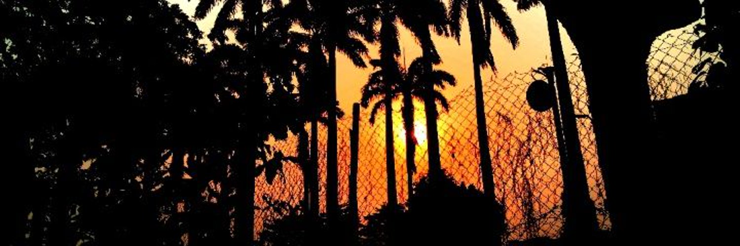 Elrond witch⚡ banner