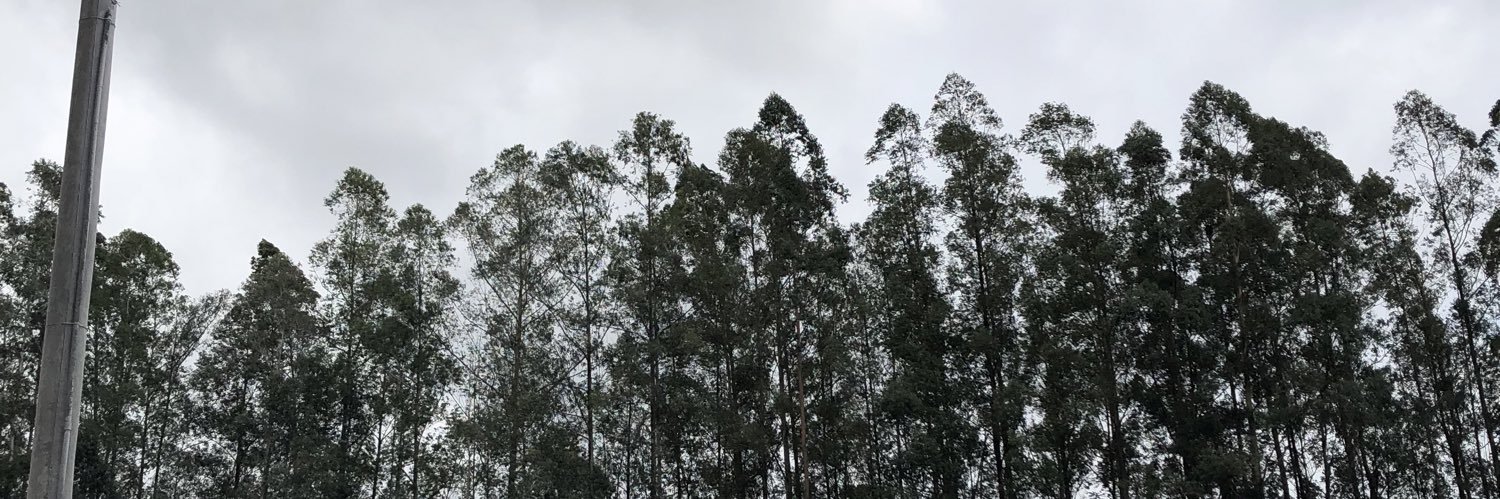 Caionacimentos's profile banner image