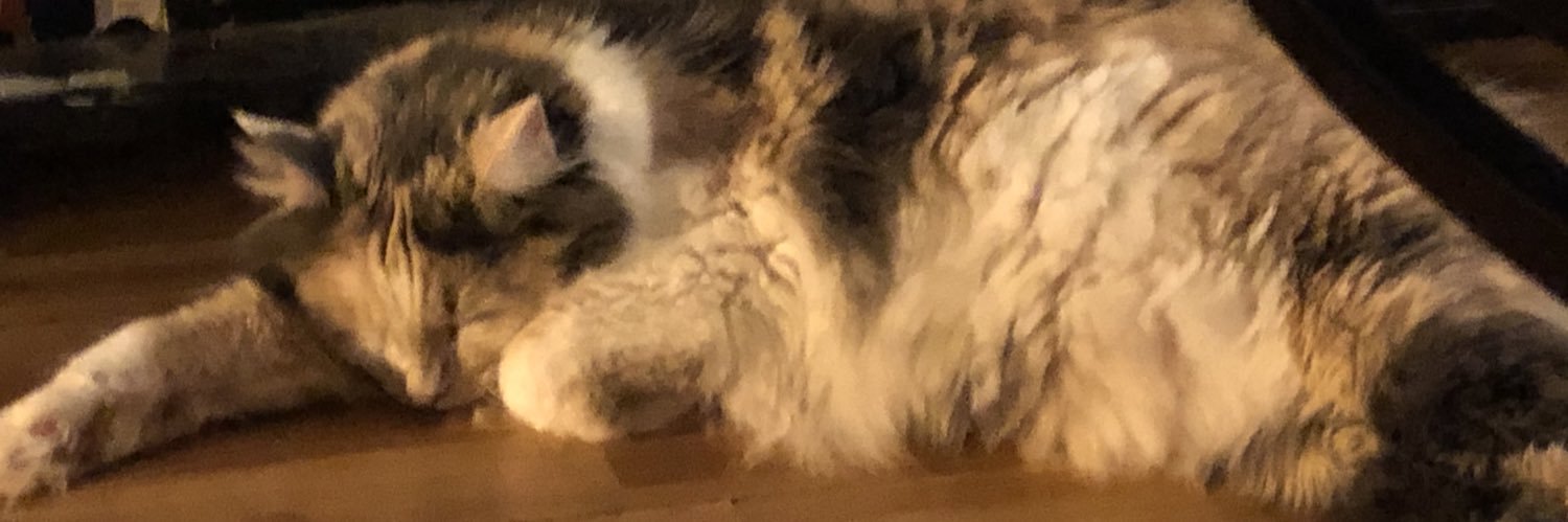 notnobitch's profile banner image