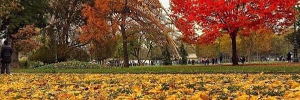 kohlcong0701's profile banner image