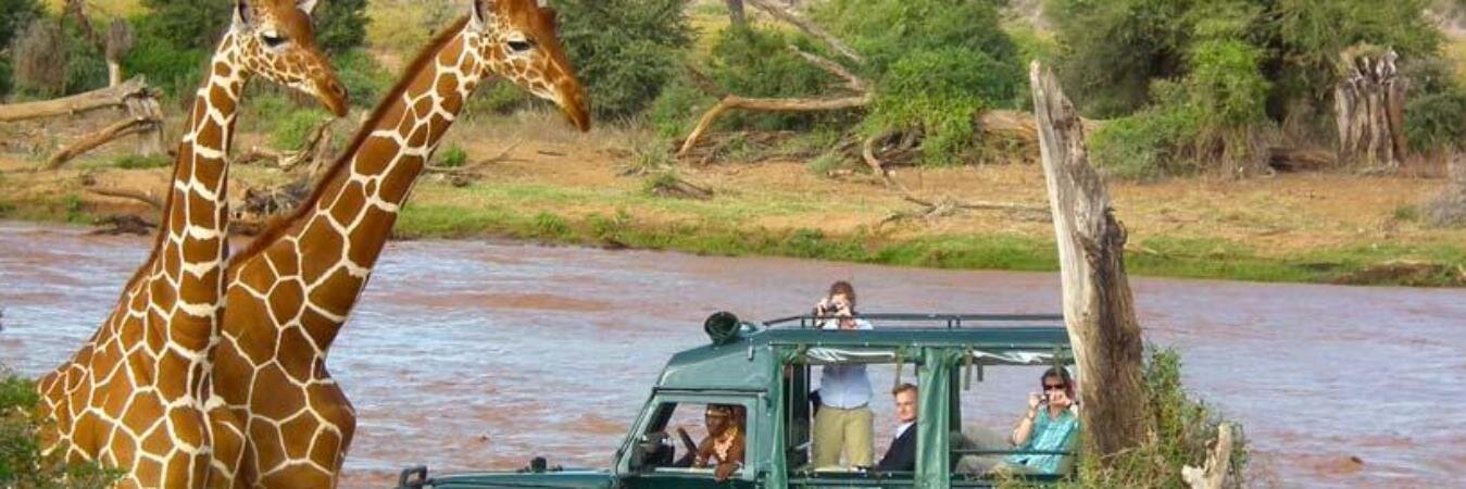 natureboundtz's profile banner image