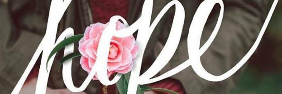 jessieweiii's profile banner image