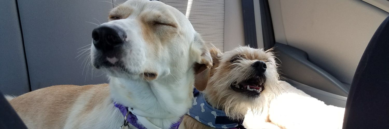 LindsayKaeJae's profile banner image