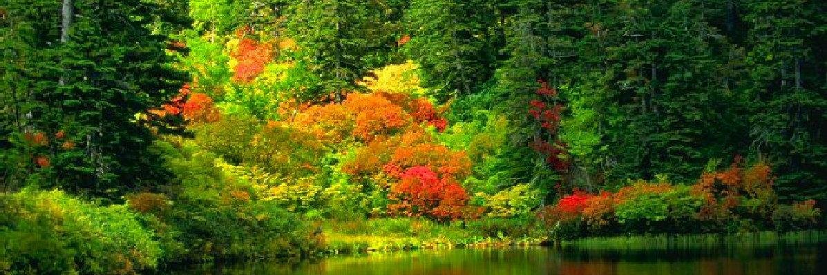 Dios, siempre en mi corazon! banner