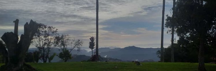 Hilde_Ojeda's profile banner image