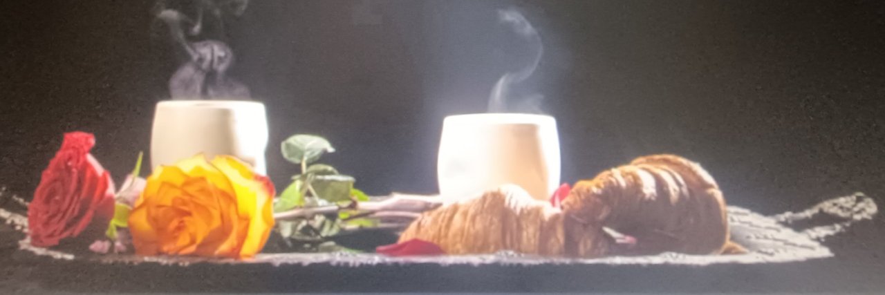 Veronica Cantu banner