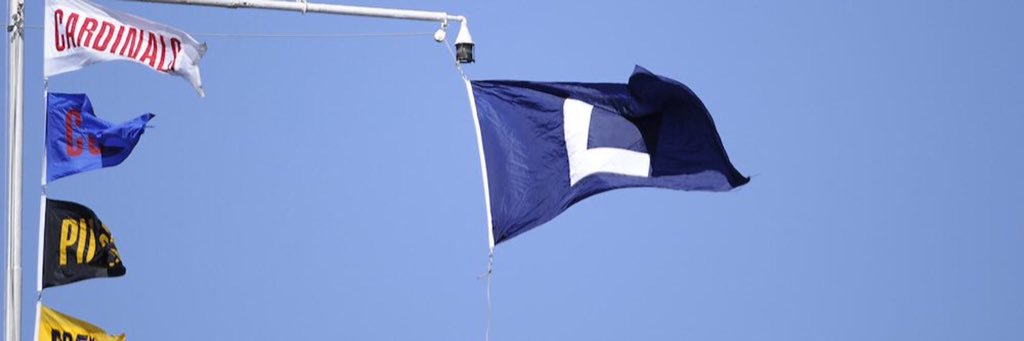 #FlyTheL's banner