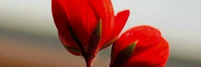 Kanham093's profile banner image