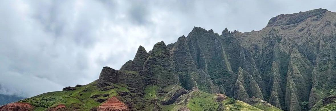 Jeremy Kitamura banner