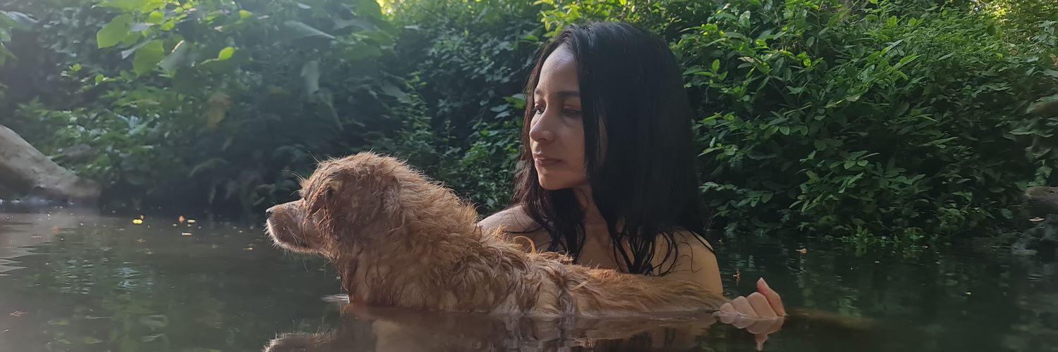 spday_'s profile banner image