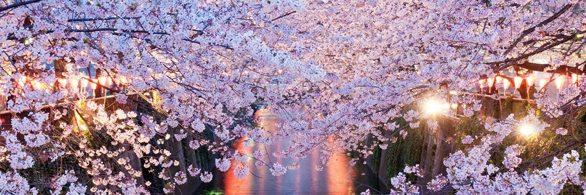 Cfs_Manon's profile banner image