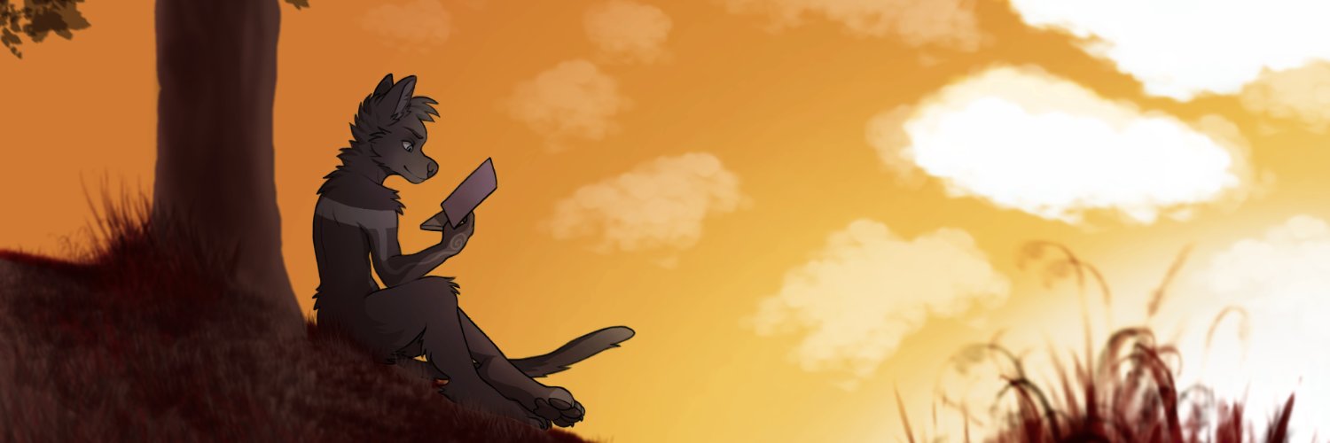 Signasss banner