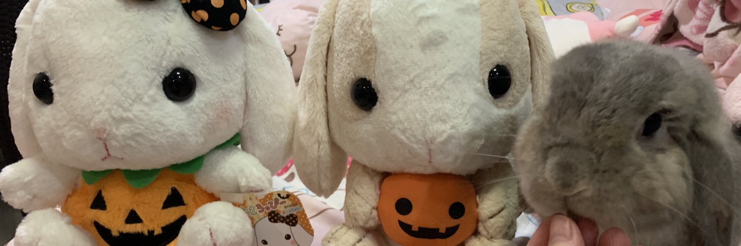 `purnployꪔ̤̮ มัมหมีน้องโดฮวา banner