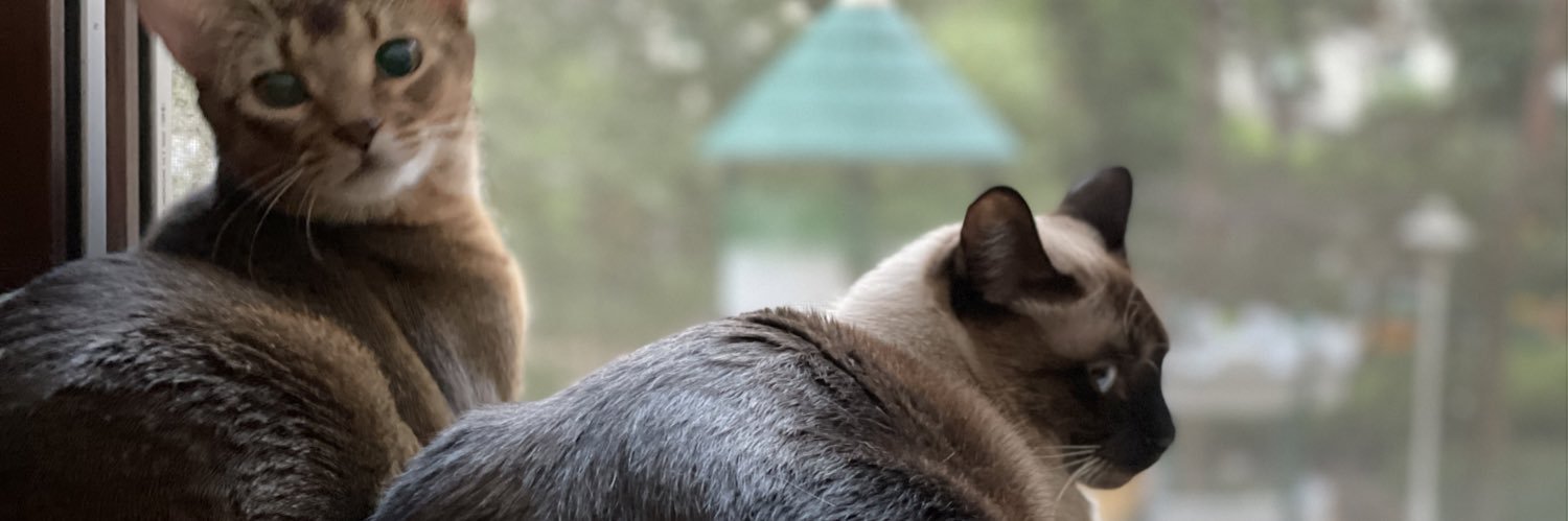 Pan อ่านว่าป่าน banner