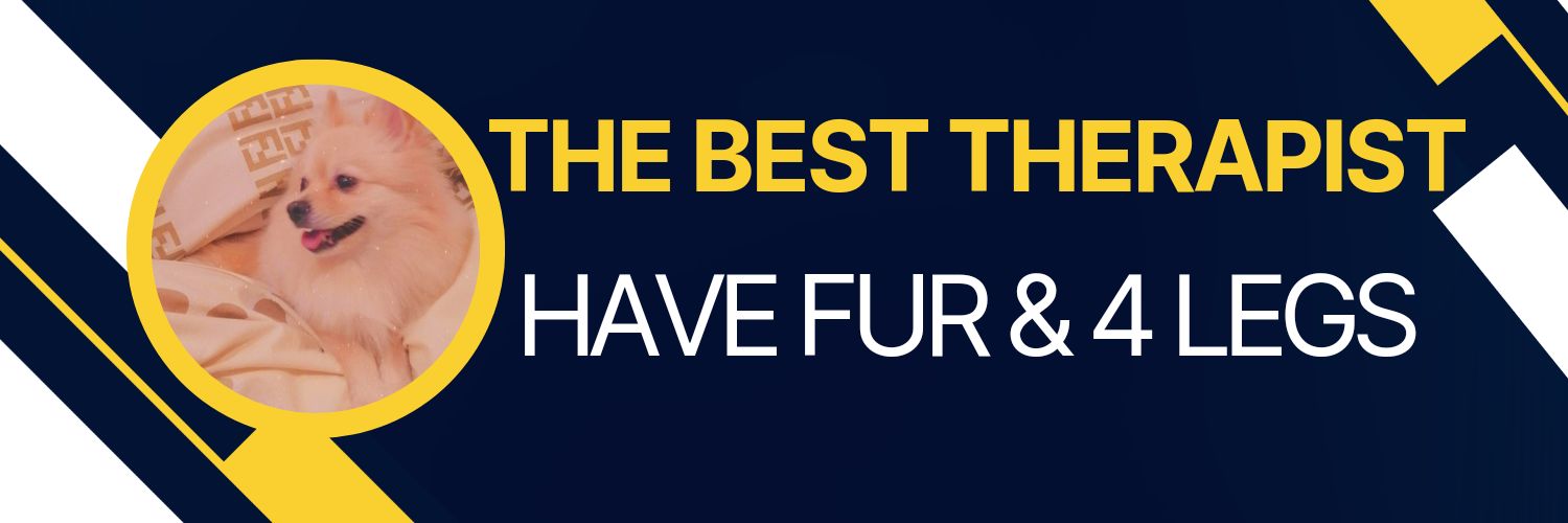 🐾 𝕏 🐾 banner