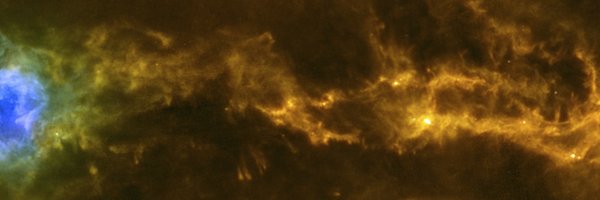 cardiffPHYSX Profile Banner