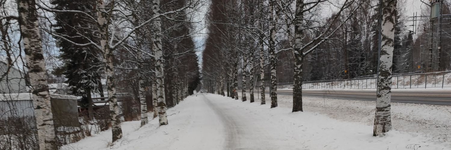 MerjaS2's profile banner image