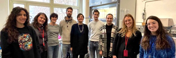 tnh_lab Profile Banner