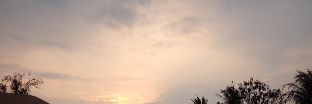 temporarypd's profile banner image