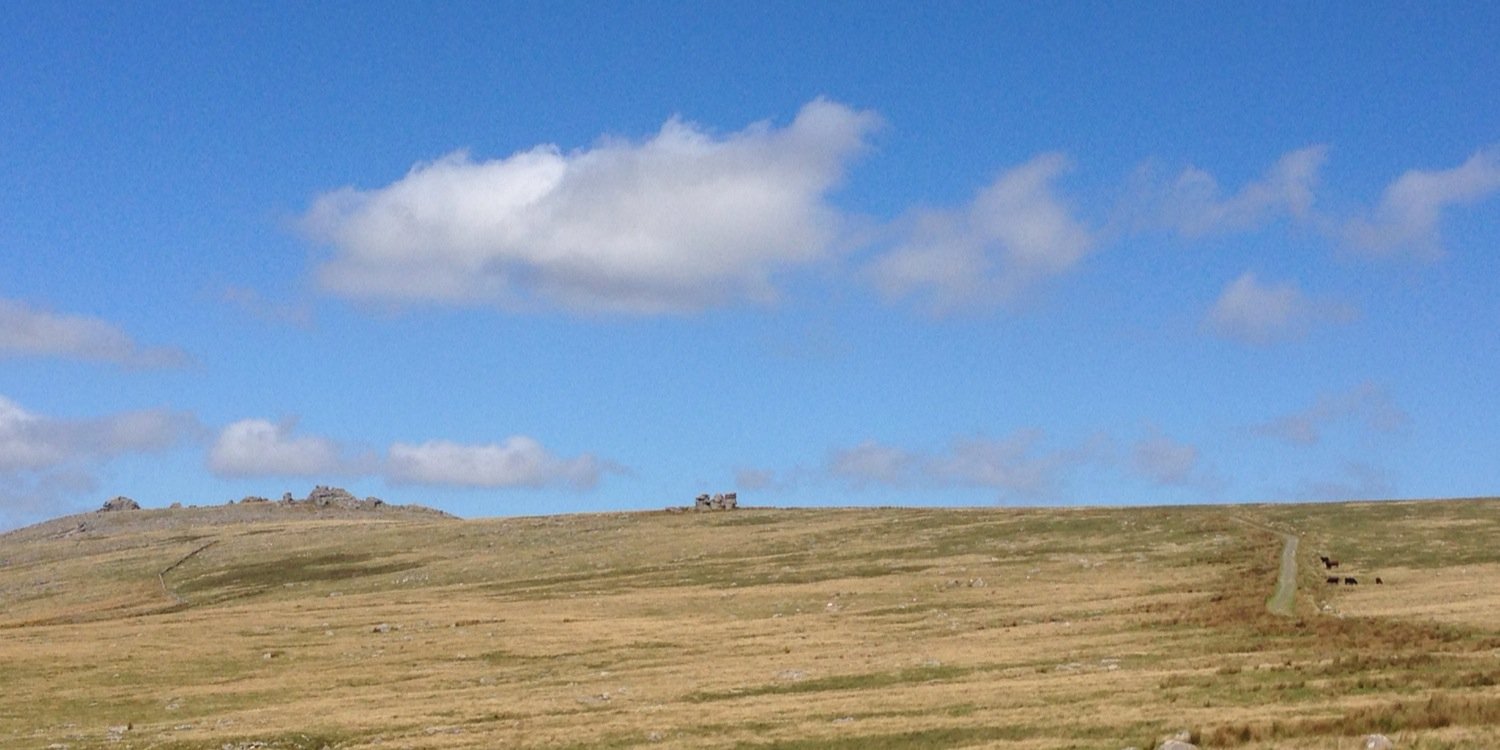 Heather Crook banner