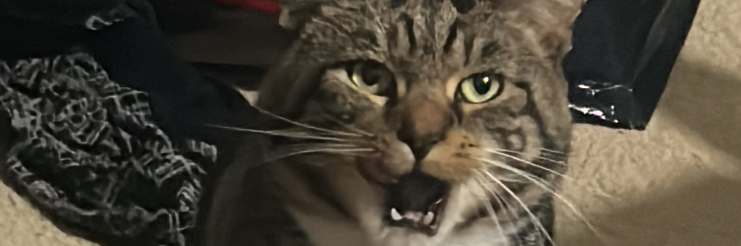 KittyCash3w on MyFreeCams 💚 banner