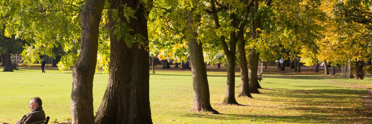 Be Inspired Lewisham banner