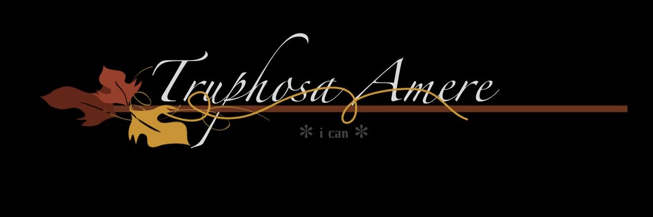 4camere's profile banner image
