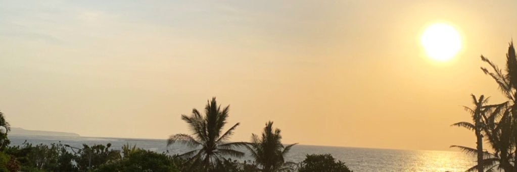 fayainspyra's profile banner image