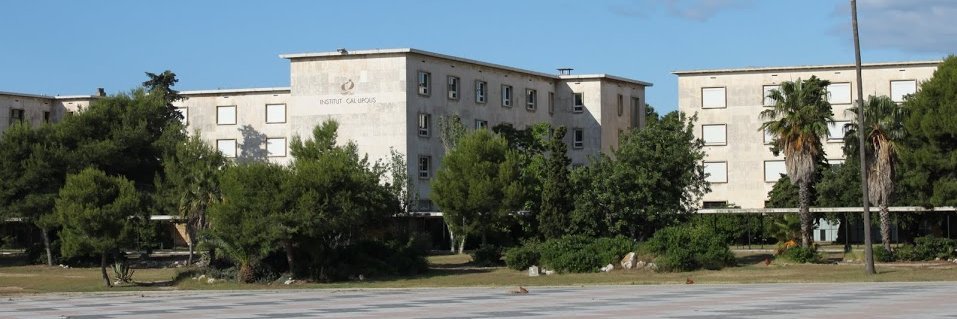 Institut Cal·lípolis banner
