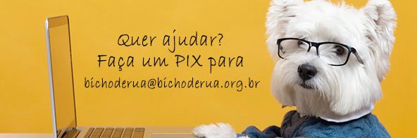 bichoderua's profile banner image