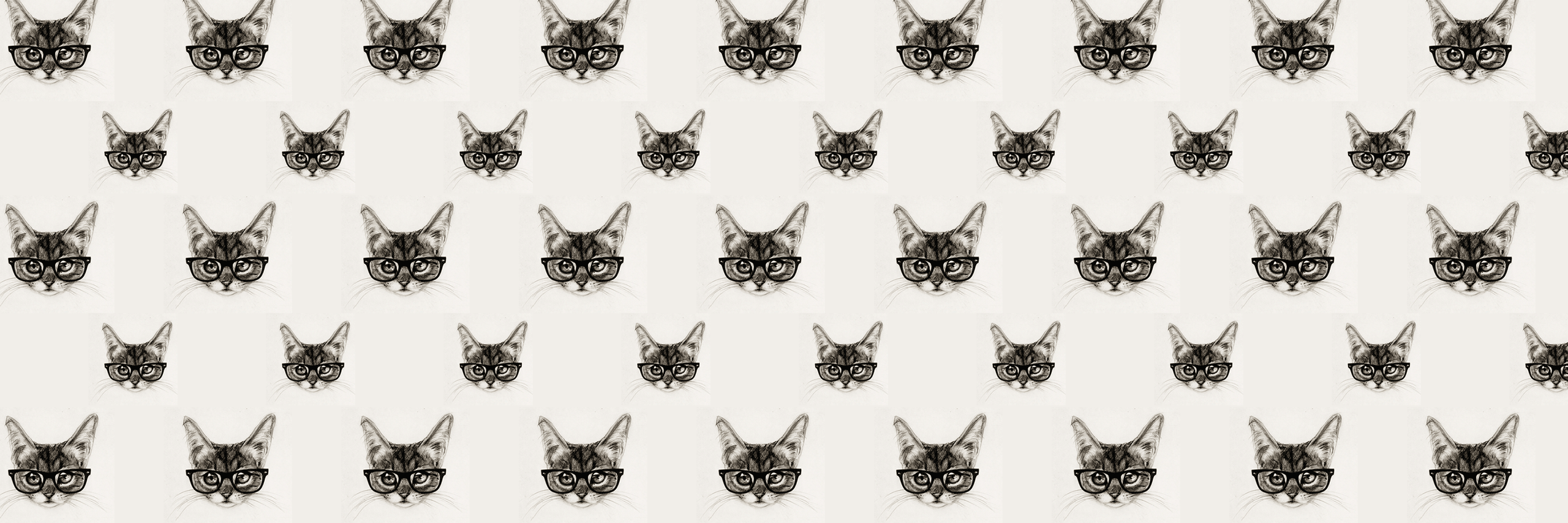 domiianna's profile banner image