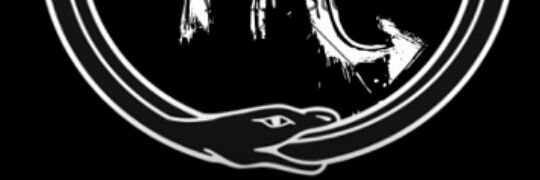 Manymanyskills's profile banner image