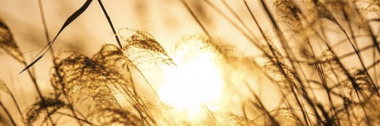 pake huruf i banner