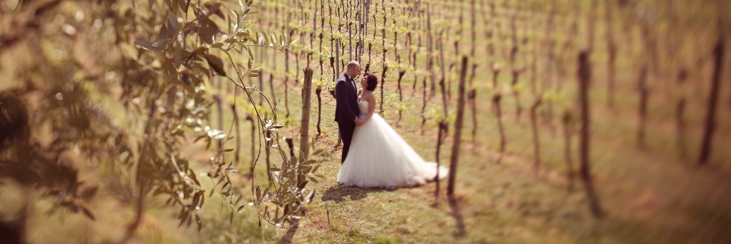 KaleroVineyard's profile banner image