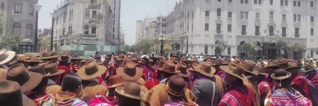 Grupo Minoritario banner