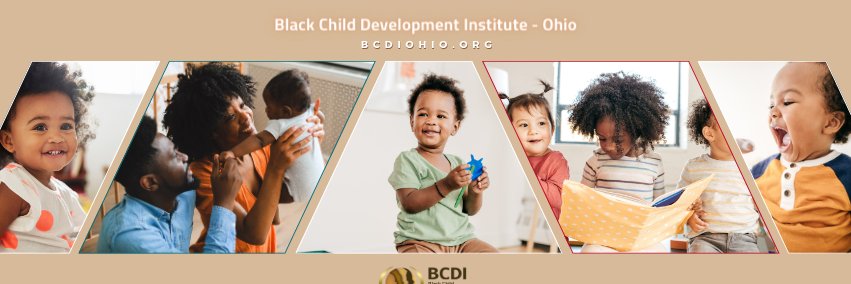 BCDI Ohio banner