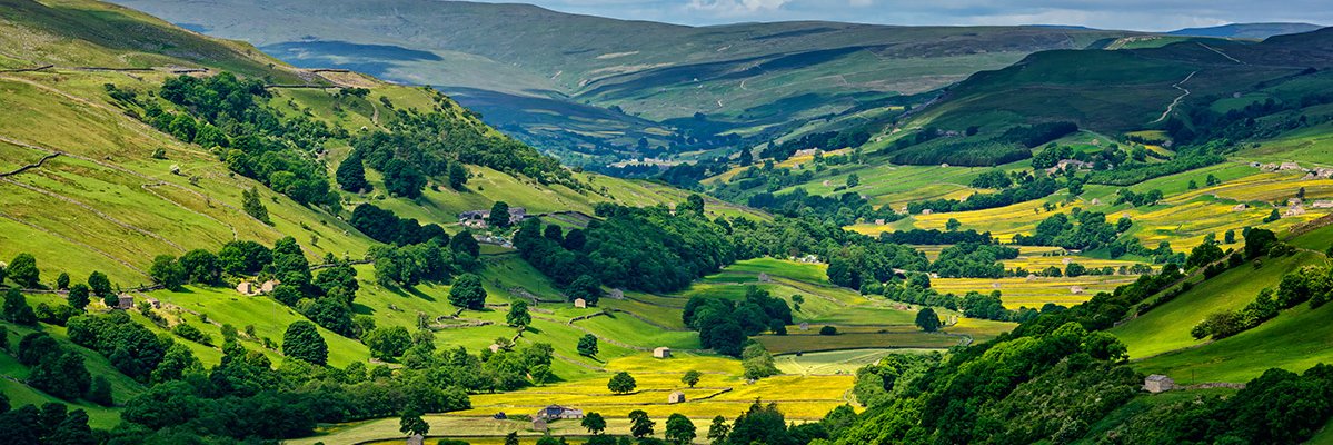 Maternity Team North banner