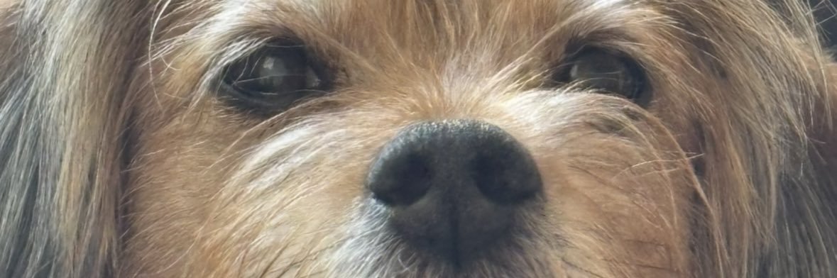 nicky banner