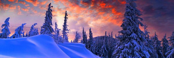 herekitties2 Profile Banner