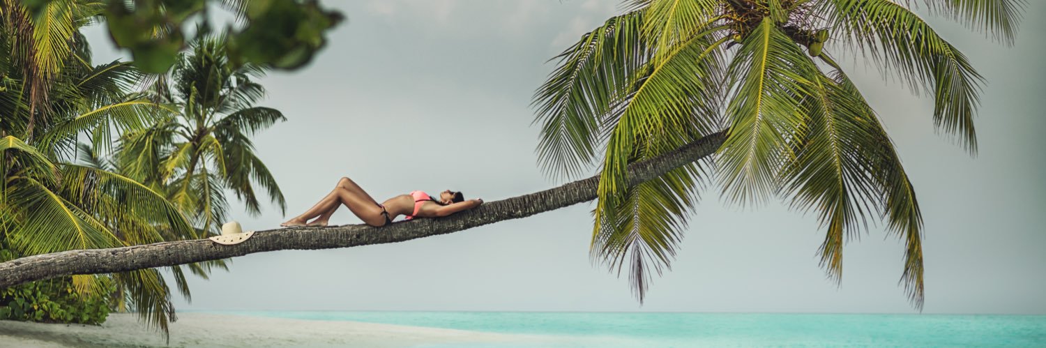 Vilu_Reef's profile banner image